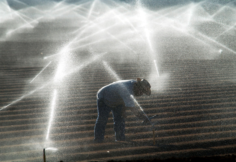 The UAE aims to reduce its use of groundwater for agriculture. (GETTY) The UAE aims to reduce its use of groundwater for agriculture. (GETTY)