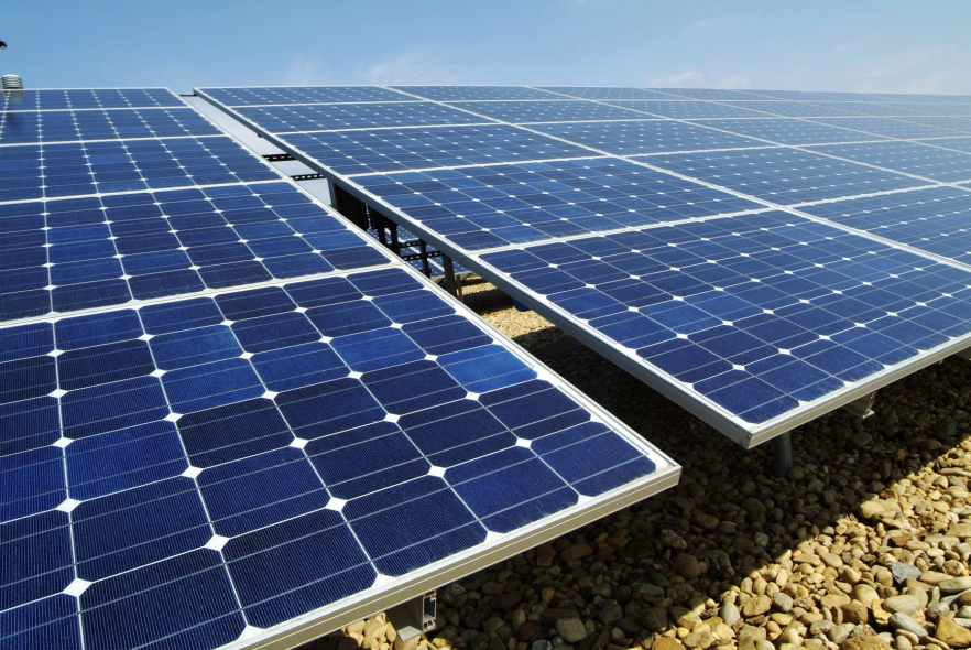 Over 20 companies are participating in the tender process Over 20 companies are participating in the tender process