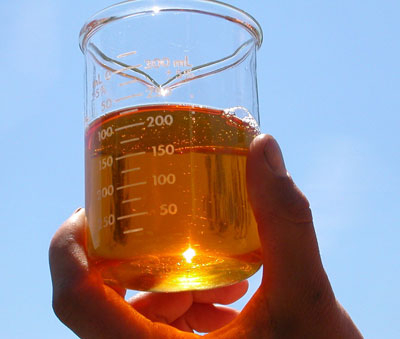 Biodiesel, Masdar, News Biodiesel, Masdar, News