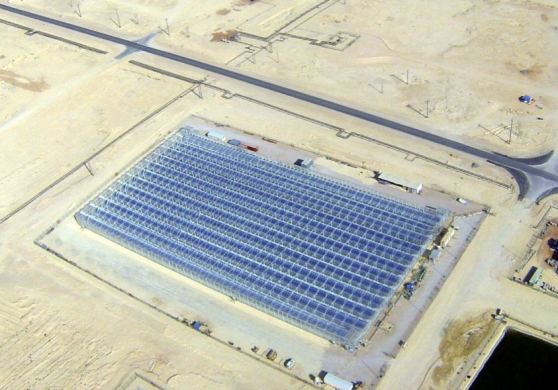 Appointment, Glasspoint, Solar, Solar energy, News Appointment, Glasspoint, Solar, Solar energy, News
