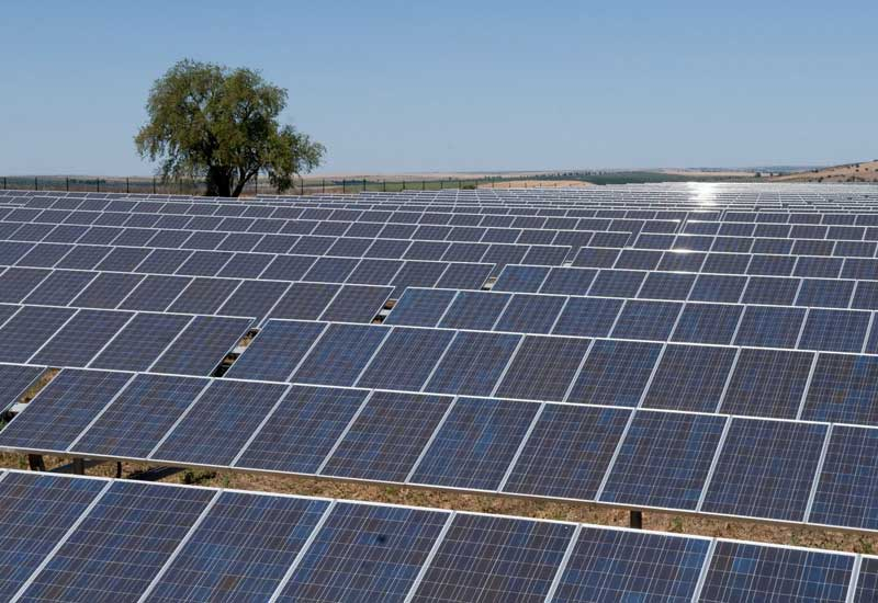 Bikesh Ogra, Saudi arabia, Solar, Sterling and Wilson, News Bikesh Ogra, Saudi arabia, Solar, Sterling and Wilson, News